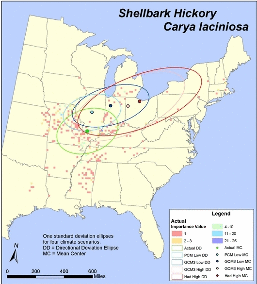 Potential Changes in Mean Center of Distribution for shellbark hickory (Carya laciniosa)