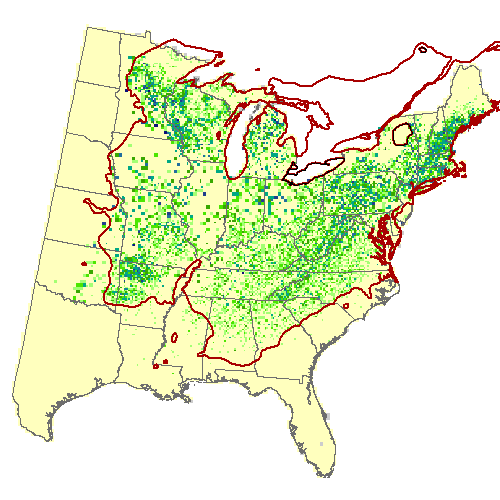 Current Forest Inventory and Analysis under Current Conditions