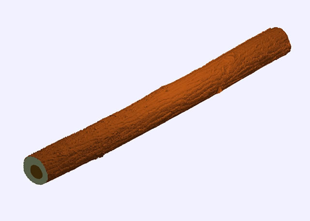 High resolution laser scan of a red oak log