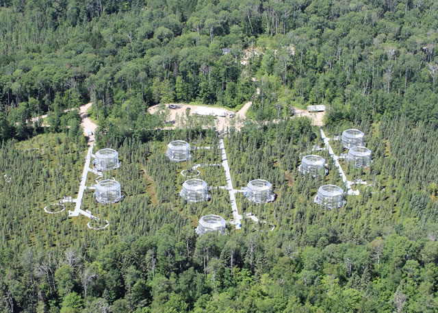 Overhead of the SPRUCE Experiment at the Marcell Experimental Forest in northern Minnesota