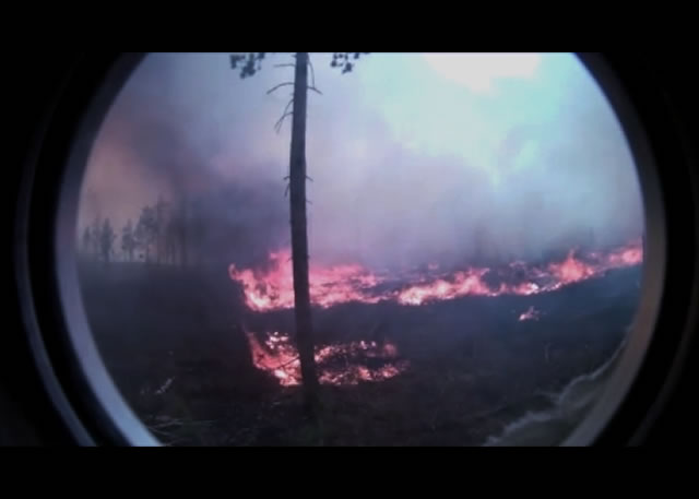 Video still from a fire hardened camera showing spotting behavior in heavy fuels after brush cutting in northern Wisconsin