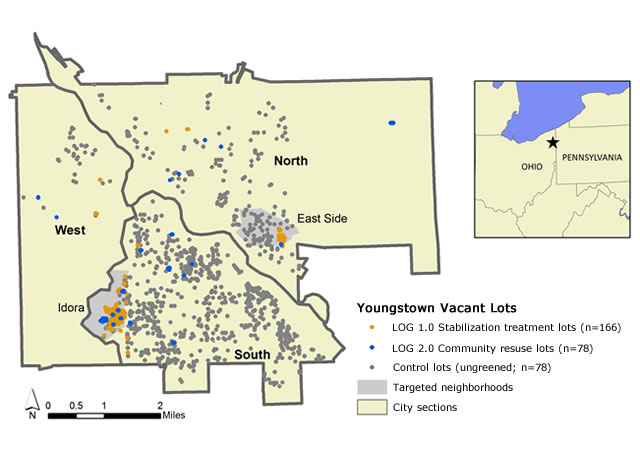 Overview map of treatment and control lots in Youngstown, OH.
