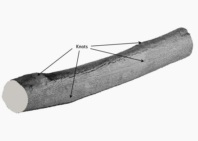 Laser scanned image of a low grade, small diameter yellow-poplar log with large knots. Graphic by R. Edward Thomas, USDA Forest Service