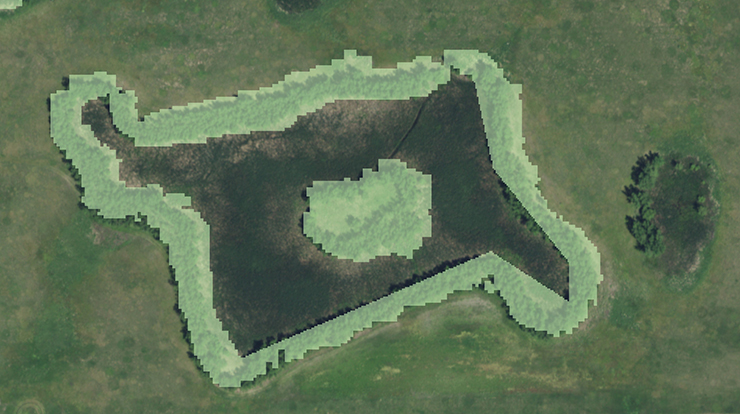 Example of forest riparian buffer surrounding a wetland area. Aerial image from the National Agriculture Imagery Program,	USDA Farm Service Agency