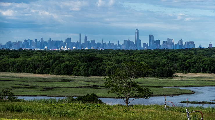 View of New York City skyline from Freshkills Park. Photo by Richard Hallett, USDA Forest Service