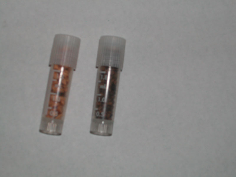 vials used in cryo tank to hold seed
