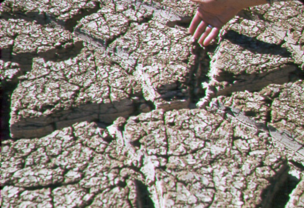 Close-up of dried silt on the Gila River bottom