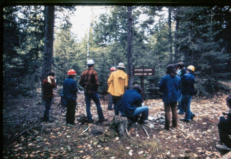 Ralph Griffin and University of Maine students in a single-tree selection stand with a 15-year cutting cycle, in MU91 in May 1973