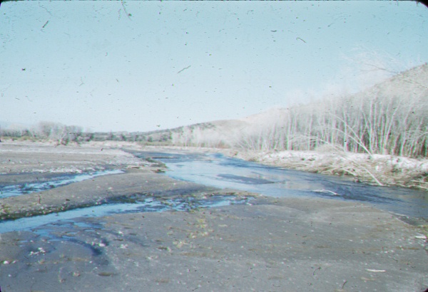 Flood channel of the San Pedro River