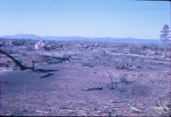 Area in the juniper-chaparral complex that was broadcast burned 