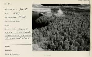 Hewitt Lake. Illustrates dominance of spruce in hardwood stand.