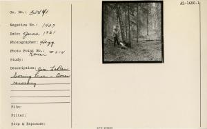 Jim LaBau boring tree. Bones recording. Photo point: Kenai #014.