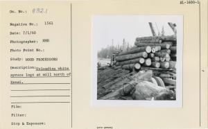 Unloading white spruce logs at mill north of Kenai.