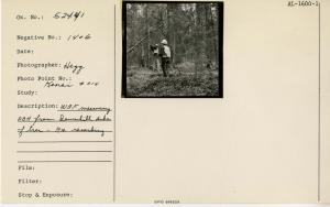 WAF measuring DBH from downhill side of tree, RM recording. Photo point: Kenai #014.