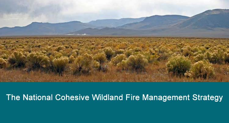 The National Cohesive Wildland Fire Management Strategy