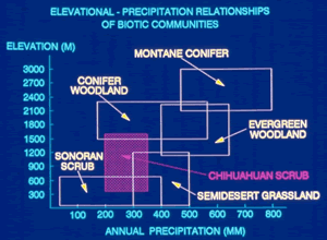 Figure 1: Elevational - Precipitation Relationships of Biotic Communities