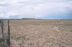 Plains Grassland site