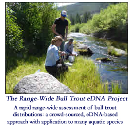 The The Range-Wide Bull Trout eDNA Project - A rapid range-wide assessment of bull trout distributions: a crowd-sourced, eDNA-based approach with application to many aquatic species