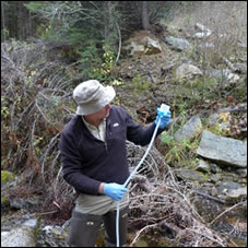 Participating in the bull trout survey