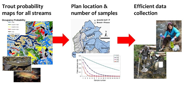 trout probability maps for all streams > plan location and number of samples > efficient data collection