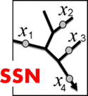 Spatial Statistical Network Models