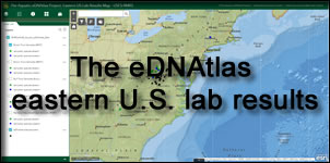 Aquatic eDNAtlas Project eDNA Sample Results