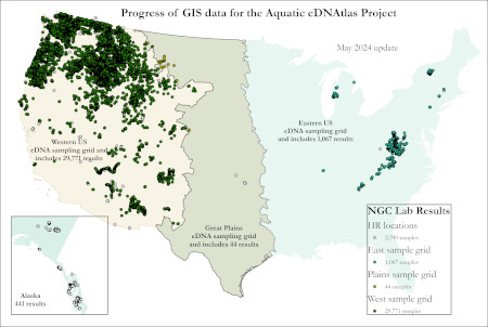 Progress map of GIS sample point locations in the west and the east that are available for the Aquatic eDNAtlas Project - eDNA results for samples collected in streams for aquatic species occurrence