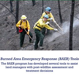 Burned Area Emergency Response (BAER) tools - the BAER program has developed several tools to assist land managers with post-wildfire assessment and treatment decisions