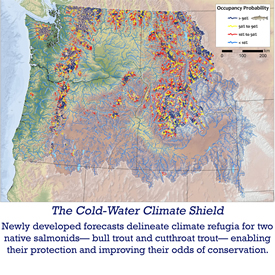 The Cold-Water Climate Shield - Newly developed forecasts delineate climate refugia for two native salmonids - bull trout and cutthroat trout - enabling their protection and improving their odds of conservation