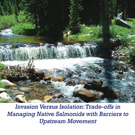 invasion versus isolation: trade-offs in managing native salmonids with barriers to upstream movement