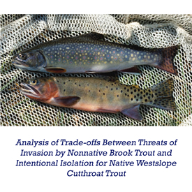 analysis of trade-offs between threats of invasion by nonnative brook trout and intentional isolation for native westslope cutthroat trout