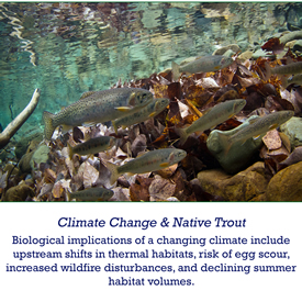 climate change and native trout- biological implications of a changing climate include upstream shifts in thermal habitats, risk of egg scour, increased wildfire disturbances, and declining summer habitat volumes