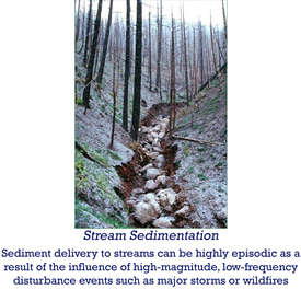 Stream Sedimentation - sediment delivery to streams can be highly episodic as a result of influence of high-magnitude, low-frequency disturbance events such as major storms or wildfires