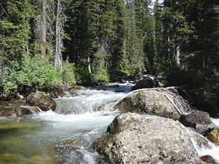photo of a stream illustrating Channel Morphology and Fluvial geomorphology