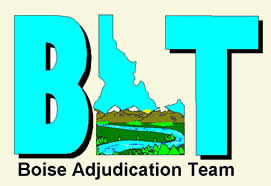 Boise Adjudication Team Logo (BAT)
