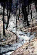 photo of Fire erosion on a creek, moving downslope