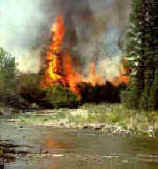 Photo of MiddleFork Boise River Fire
