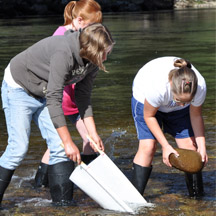 kids wading in the river exploring for cool bugs, fish, and more!