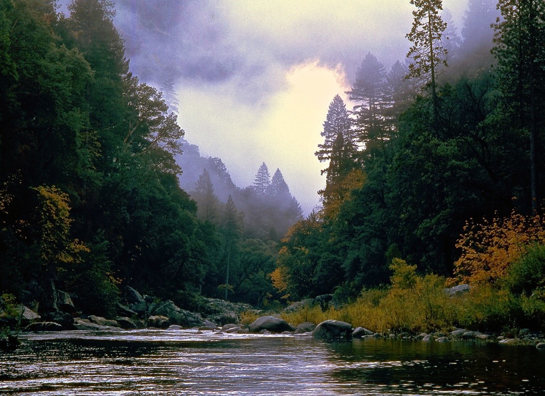 A picture of a river flowing between a mountainous, forested area.