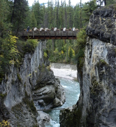 Image of a string of pack animals led by a person on horseback crossing a bridge over a canyon.