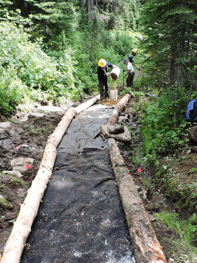 Image of trail workers working on a trail feature.