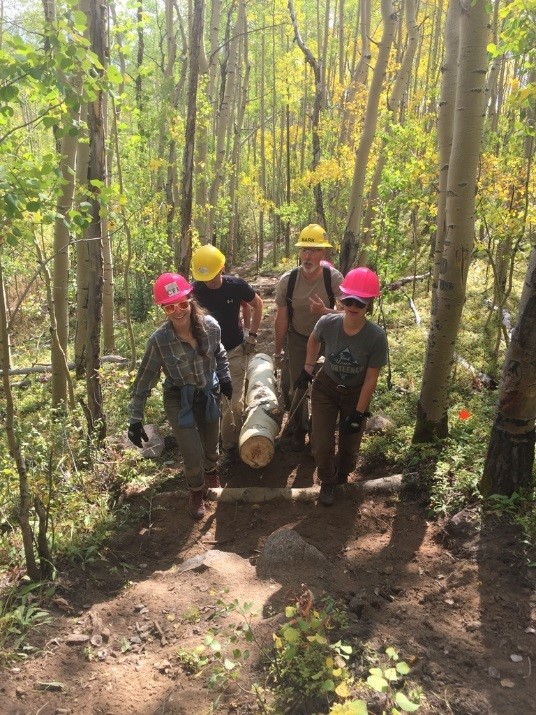 Image of trail workers carrying a log.