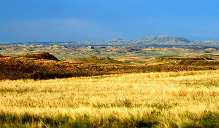 A view across the Dakota prarie grasslands.