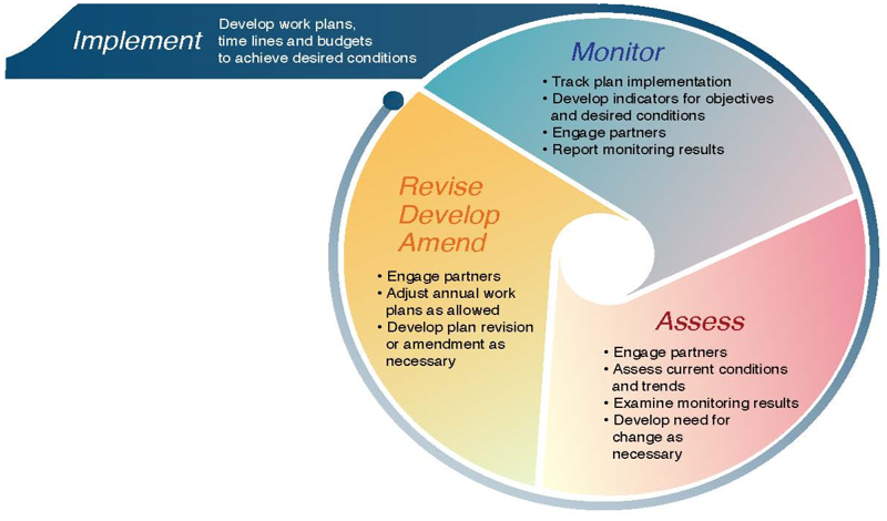 Image of a chart showing the land management planning process.