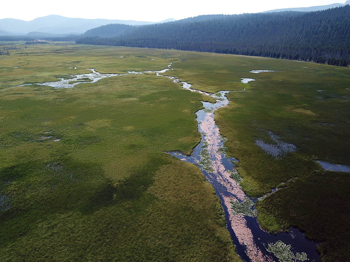 Aerial view of a marsh wetland with forest covered hills rising in the distance.