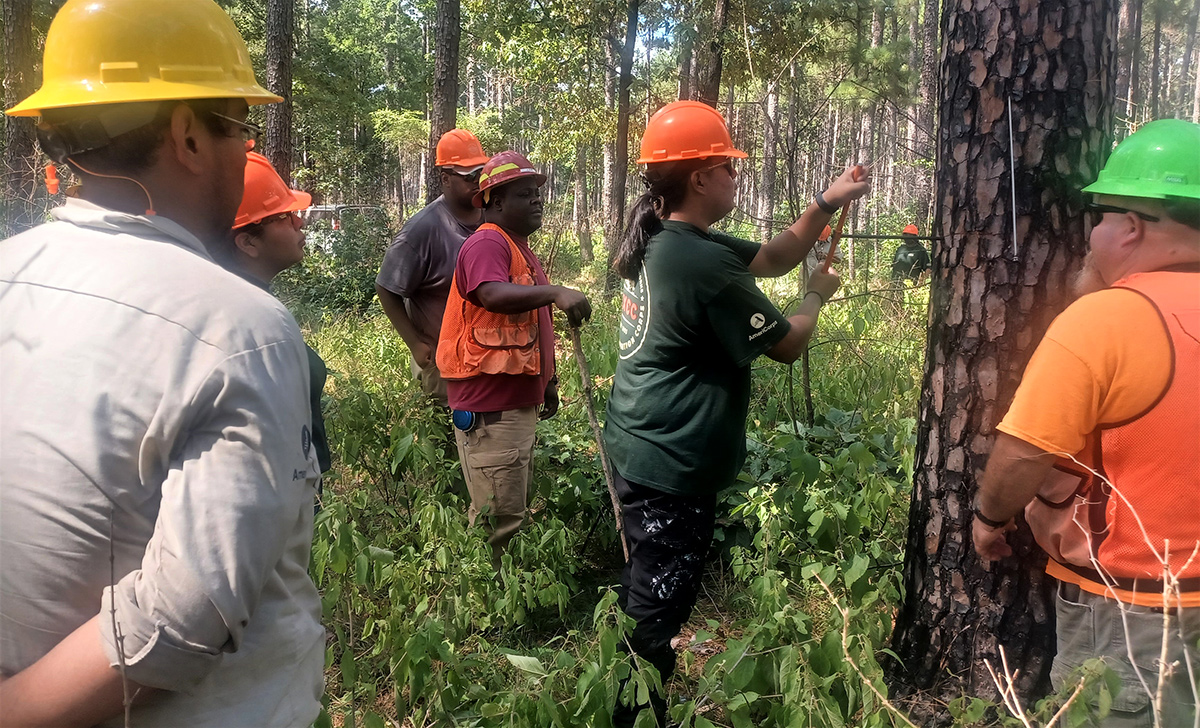 Tribal Youth Conservation Corp participants take a turn in using an increment borer on a tree in a Texas forest.