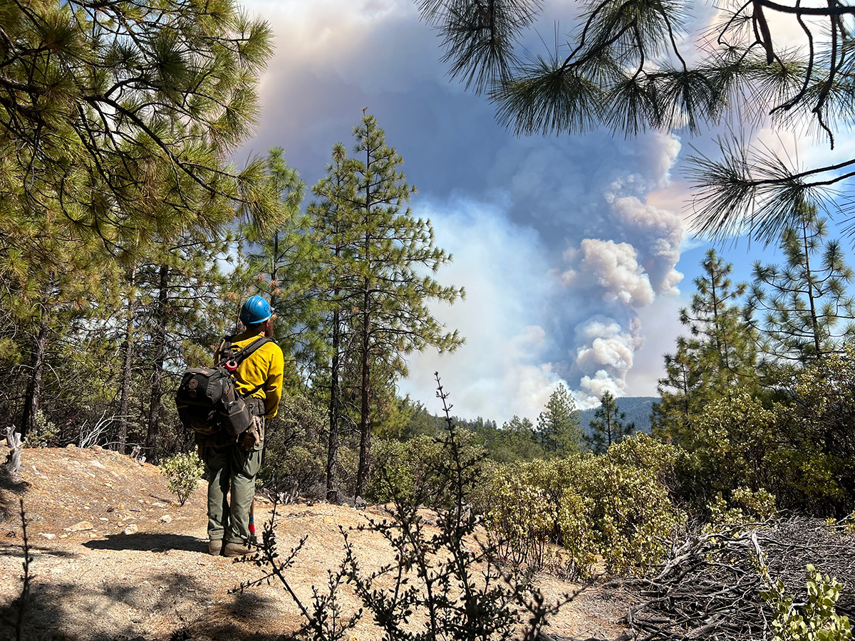 USDA Forest Service wildland firefighter of the American River Hotshots crew on the Tahoe National Forest in California watches a smoke plume rise over the mountain