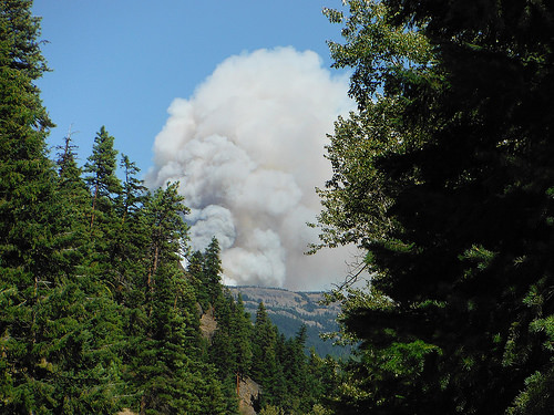 A column of smoke rising from a large forest fire.