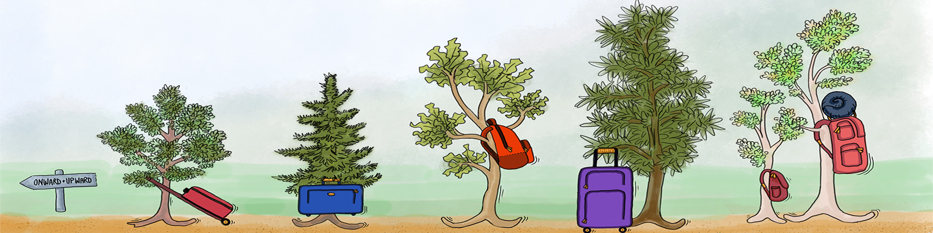An illustration representing assisted tree migration with five trees carrying luggage and arranged by height, with the smallest being on the left side and the tallest on the right.