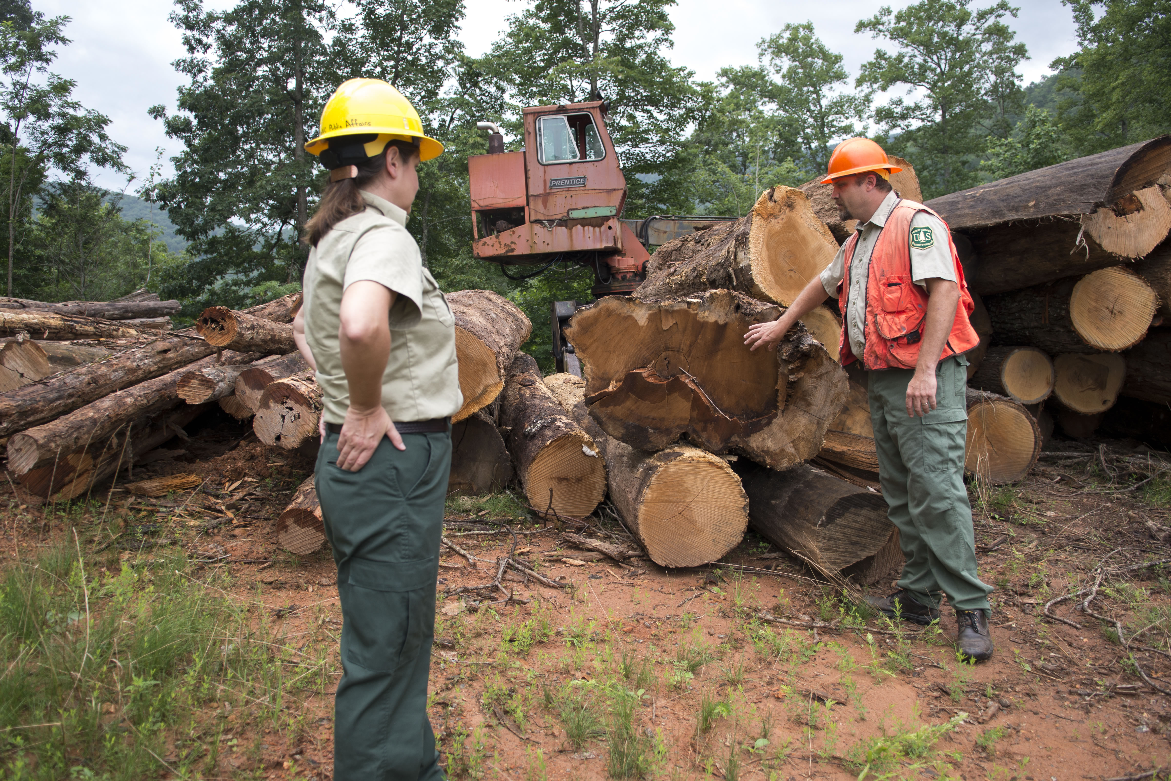 Patrick Scott and a Forest Service Public Affairs Officer look at a wood deck at a timber sale.